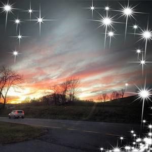 Meet your Posher, Betty